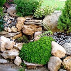 Категория: Камень для ландшафта Категория: Камень для ландшафта